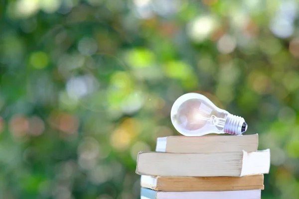 One-on-one tutoring session